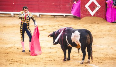 Bir boğa ve Boğa güreşçisi mücadele. Corrida de toros