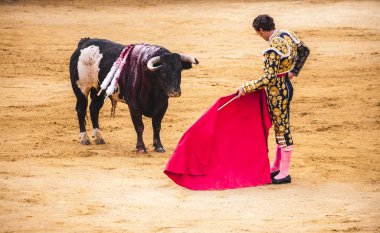 Bir boğa ve Boğa güreşçisi mücadele. Corrida de toros