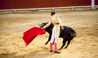 Bir boğa ve Boğa güreşçisi mücadele. Corrida de toros