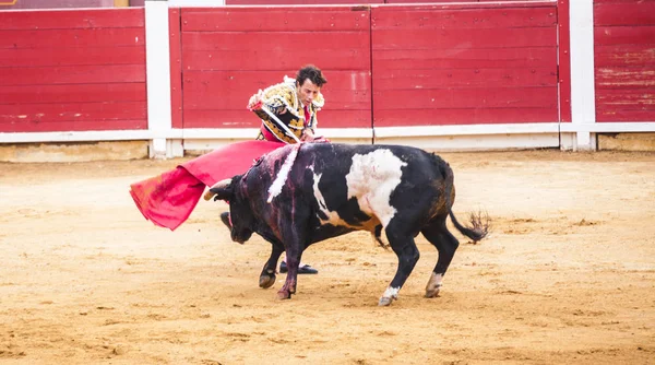 Bir Boğa Boğa Güreşçisi Mücadele Corrida Toros — Stok fotoğraf