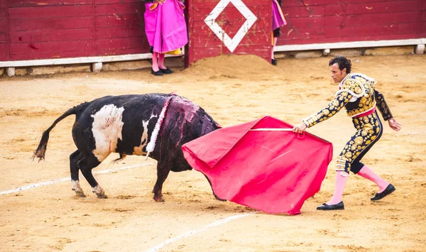 Luta Touro Toureiro Corrida Toros — Fotografia de Stock