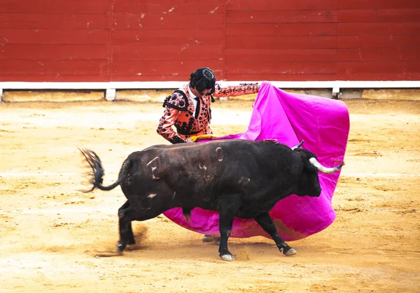 황소와 투우사의 싸움입니다 Corrida Toros — 스톡 사진