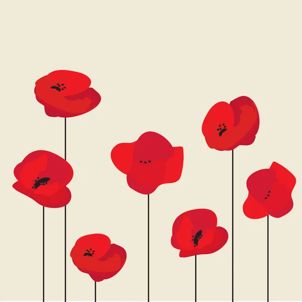 Fondo de flor de amapola roja, ilustración vectorial — Vector de stock