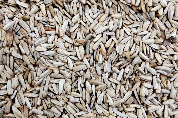 Grandes sementes de girassol close-up, no mercado na Ásia — Fotografia de Stock