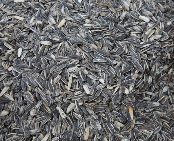 Grandes sementes de girassol close-up, no mercado na Ásia — Fotografia de Stock