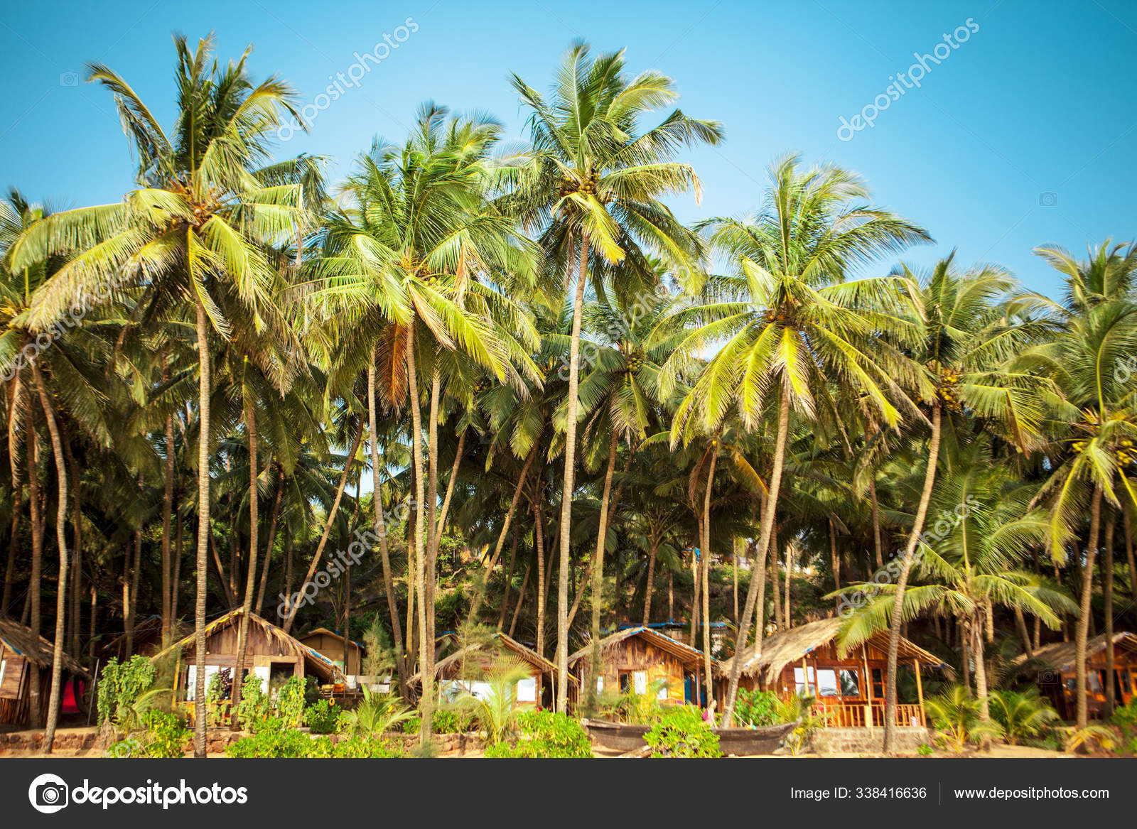 Cola Beach Goa South Goa India Sunny Tropical Beach Stock Photo By C Mcherevan