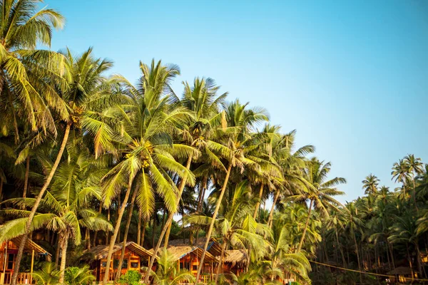 Kola plajı Goa 'sı. Güney Goa Hindistan, güneşli tropik plaj. — Stok fotoğraf