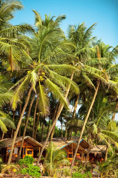 Kola plajı Goa 'sı. Güney Goa Hindistan, güneşli tropik plaj. — Stok fotoğraf