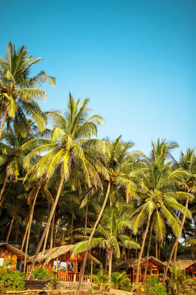 Kola plajı Goa 'sı. Güney Goa Hindistan, güneşli tropik plaj. — Stok fotoğraf