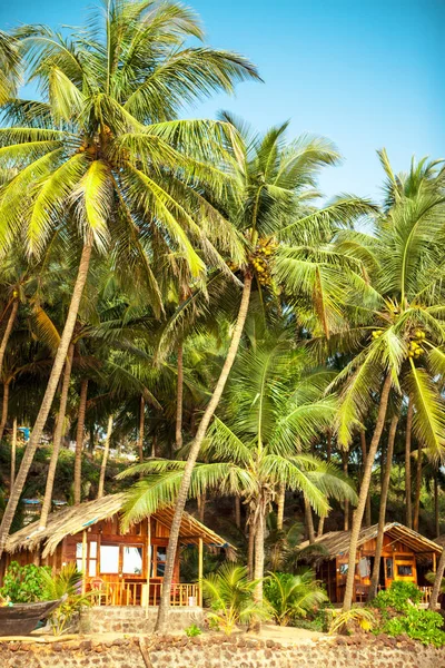 Spiaggia di Cola Goa. Sud Goa India, Sunny spiaggia tropicale . — Foto Stock