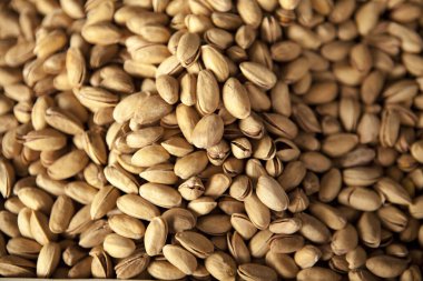 İran tuzlu şam fıstığı. Markette olgun şam fıstıkları