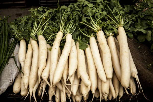 Frisch Gewaschener Weißer Rettich Auf Dem Gemüsemarkt — Stockfoto