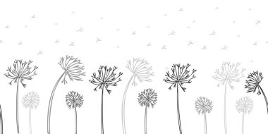 Kusursuz karahindiba deseni, elle çizilmiş bitki ve tohumlarla yatay arka plan. Pankart, mutfak tasarımı için vektör illüstrasyonu