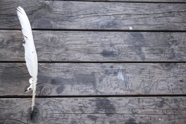 Yazmak için tüy. Yazmak için tüy. Tüy eski bir ahşap masada yatıyor. Peçeteler, duvar kağıtları, kitaplar, defterler, kâğıtlar için harika bir arka plan. Retro biçimi, eski zaman