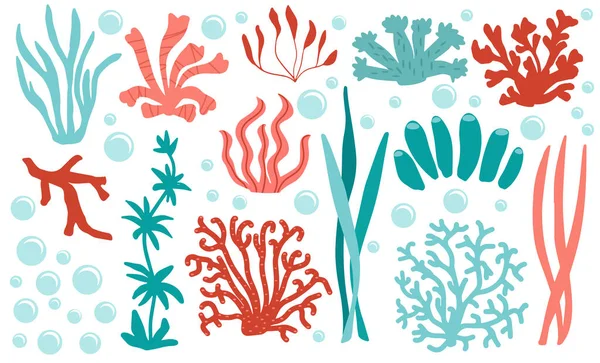 Set di icone in corallo di colore subacqueo. Barriera corallina natura marina, illustrazione vettoriale acquatica — Vettoriale Stock