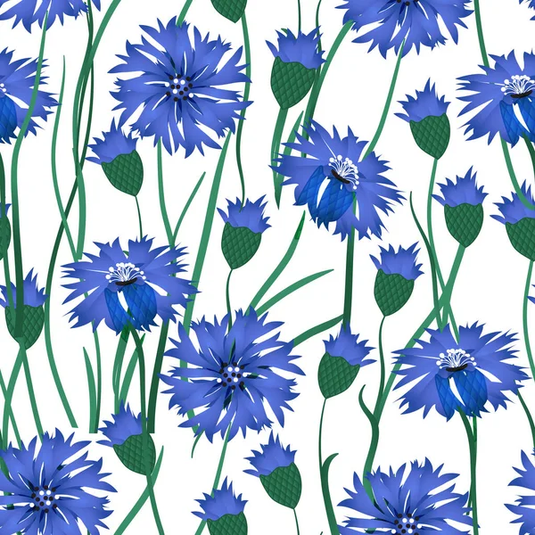 Patrón de vector sin costuras con cornflowers acuarela. Adorno dibujado a mano con flor silvestre azul. Perfecto para saludos, invitaciones, fabricación de papel de embalaje, textil, diseño web . — Archivo Imágenes Vectoriales