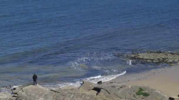 Um homem caminha numa praia rochosa . — Vídeo de Stock