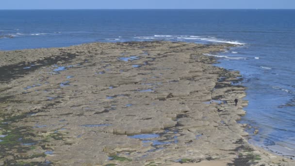 Un homme marche sur une plage rocheuse . — Video