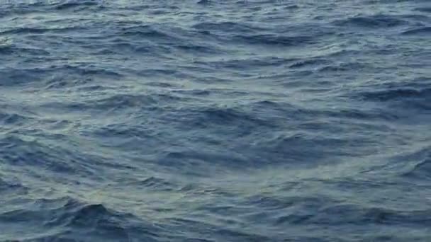 Vlny v moři. Je převzata z lodi. — Stock video