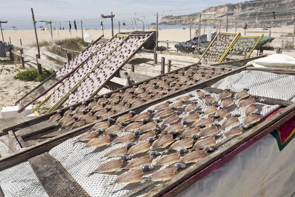 Secado y venta de pescado en Nazare —  Fotos de Stock