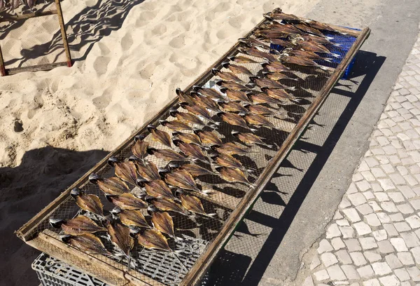 Drying and Selling Fish in Nazare — Stock Photo, Image