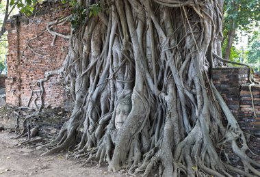 WAT Mahathat Tapınağı ben