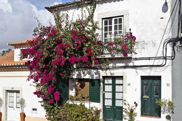 Traditionele architectuur van Azeitao — Stockfoto