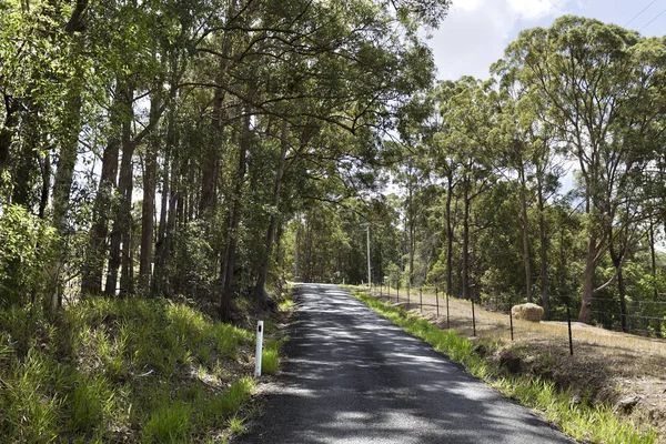 Yandina carretera —  Fotos de Stock