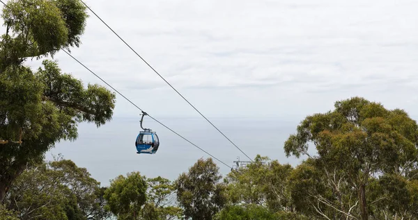 Arthurs Seat Eagle Skylift