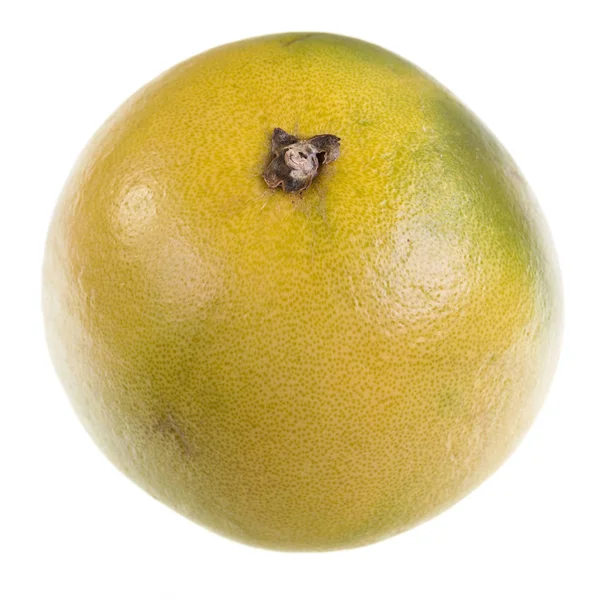 Pomelo-Zitrusfrucht — Stockfoto