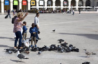 besleme birds