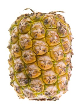 ananas tropikal meyvesi