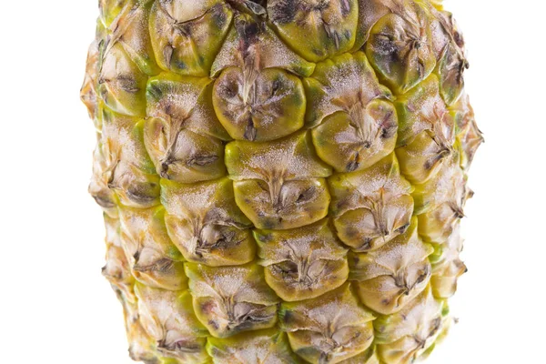 Ananas tropiska frukter — Stockfoto