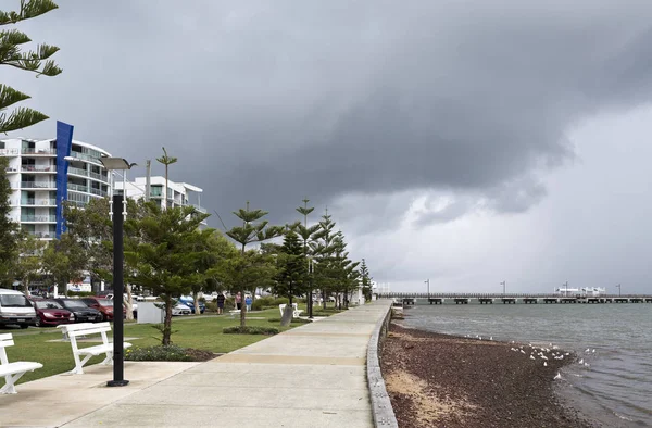 Вуді точки Foreshore — стокове фото