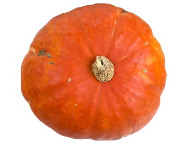 Kabak portakal Kabocha