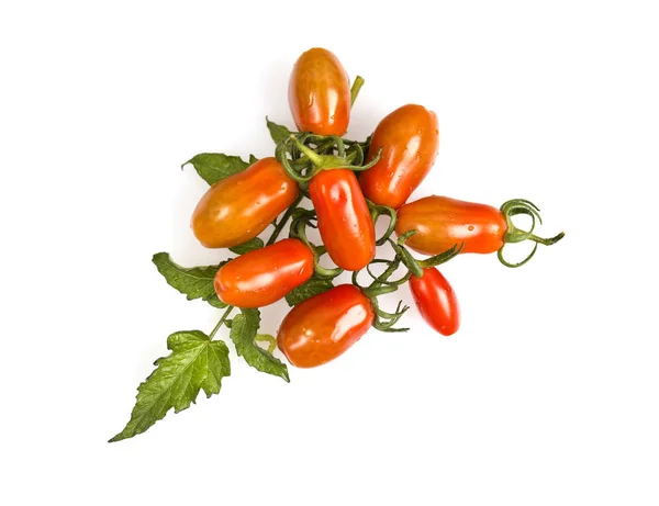 Fresh Perino Tomatoes — Stock Photo, Image