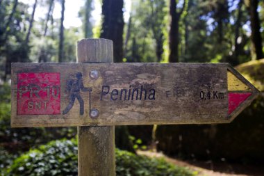 Sintra yürüyen parça