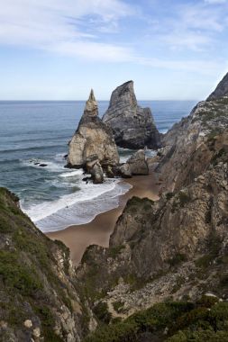 Sintra Beach'te büyük ayı