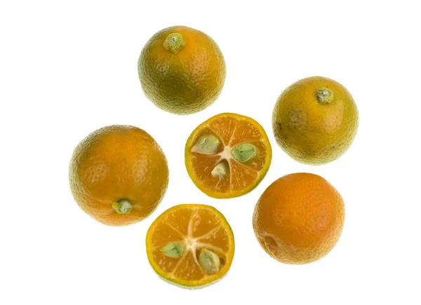 Calamondin citrusové plody — Stock fotografie