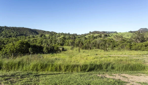 Sunshine Coast Hinterland — Stok fotoğraf