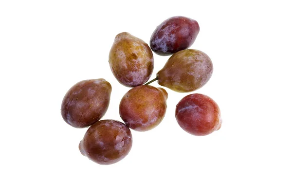 Sucre Prunes Fruits — Photo