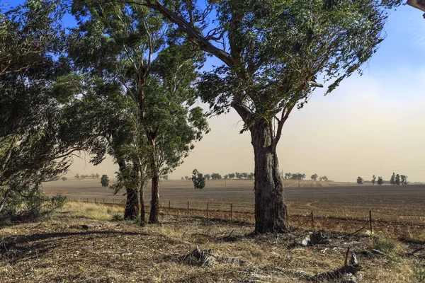 New South Wales ��� Dust Storm near Temora