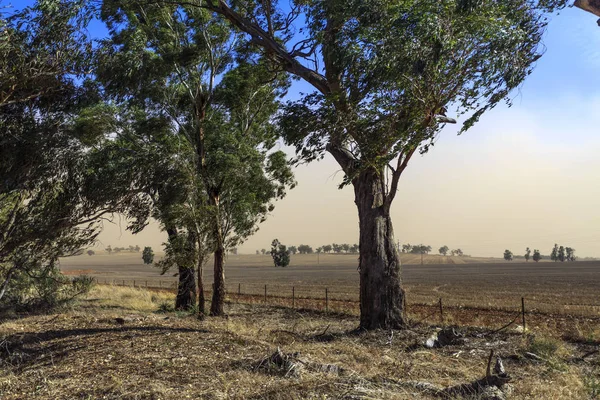 Nueva Gales del Sur jalá Tormenta de polvo cerca de Temora —  Fotos de Stock