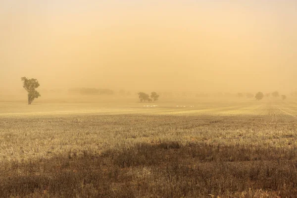 Nova Gales do Sul Tempestade de poeira perto de Temora — Fotografia de Stock