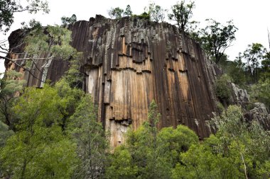 Narrabri kuğu altıgen lav sütunları kayalar