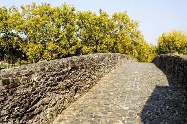 Serta Carvalha Köprüsü