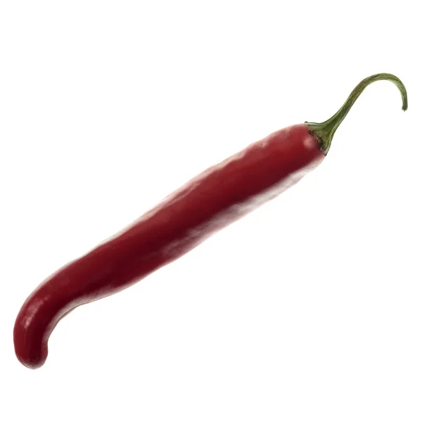 Chili peppar röd Cayenne — Stockfoto