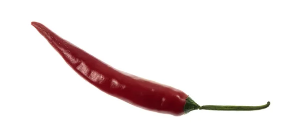 Chilipfeffer roter Cayenne — Stockfoto