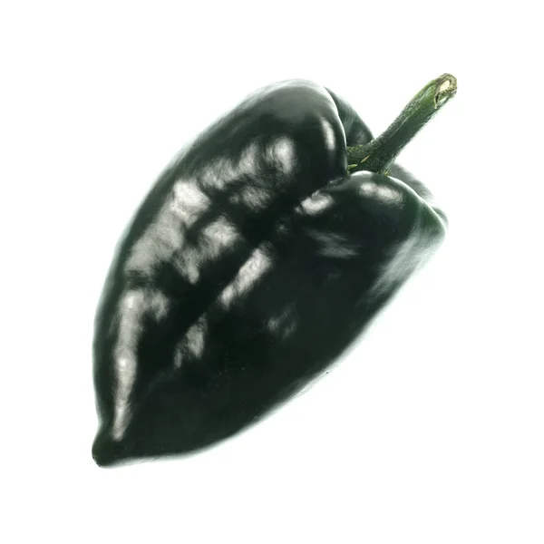 Chili Pepper Poblano — Stok Foto