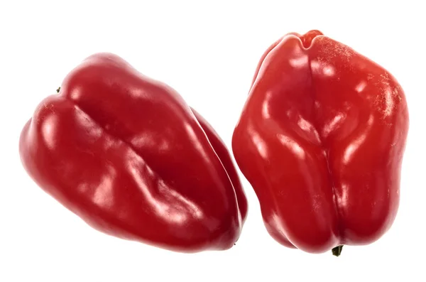 Papryka chili Habanero czerwony — Zdjęcie stockowe